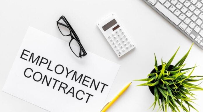 जीवन कौशल जो स्कूल में नहीं पढ़ाते हैं: रोजगार अनुबंध कैसे पढ़ें