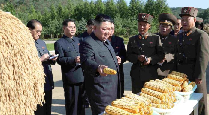 Why Is There A Major Food Shortage In North Korea That Could Lead To Millions Of Deaths?