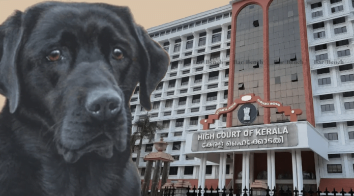 Here’s How #JusticeForBruno Served Justice To Kerala Dog After Inhuman Brutal Death