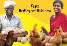 बिहार के स्टार्टअप एगोज़ ने जुटाए रु 2.5 मिलियन, एक महीने में 4 मिलियन अंडे बेचते हैं