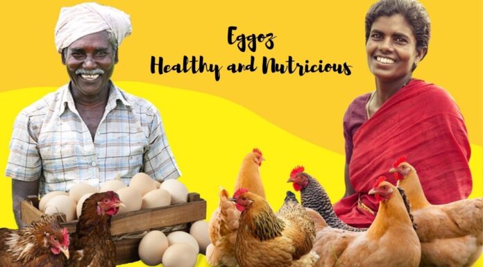 Bihar Based Startup Eggoz Raised Rs. 2.5 Million, Sells 4 Million Eggs A Month