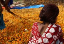 हेल्पअसग्रीन, कानपुर के टियर 2 शहर से एक स्टार्टअप फूलों के कचरे में सुधार कर रहा है