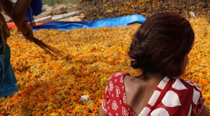 हेल्पअसग्रीन, कानपुर के टियर 2 शहर से एक स्टार्टअप फूलों के कचरे में सुधार कर रहा है