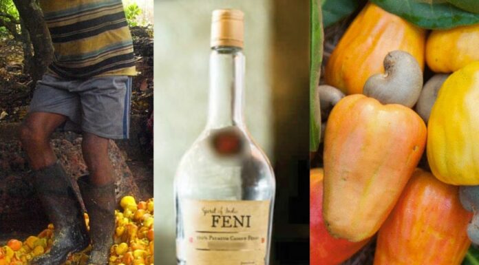 Meet The Gaonkar Family In Goa Who Are Keeping The 500-Year Old Cashew Liquor Tradition Alive