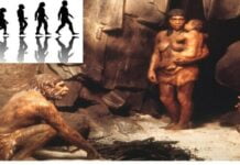 рдЕрд╡рд╕рд╛рдж рд╕реЗ рд╡реНрдпрд╕рди рддрдХ: рдирд┐рдПрдВрдбрд░рдерд▓ рдЬреАрди рдЖрдзреБрдирд┐рдХ рдордиреБрд╖реНрдпреЛрдВ рдХреЛ рдХреИрд╕реЗ рдкреНрд░рднрд╛рд╡рд┐рдд рдХрд░ рд░рд╣реЗ рд╣реИрдВ