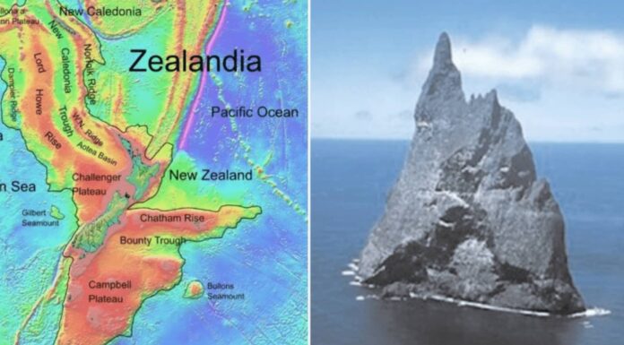 Is Zealandia Truly Earth’s 8th Hidden Continent?