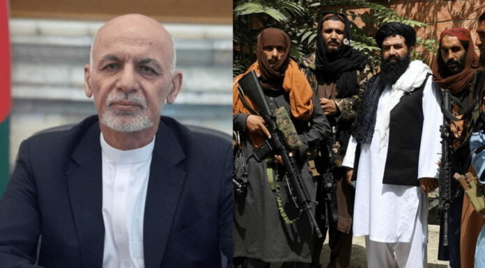 Is The Afghani Government Responsible For The Taliban Mess In The Country Right Now?