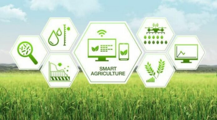 Pune Based FarmERP Brings Software To Agriculture; One Of The First Such Companies Worldwide