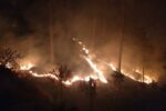 forest fire