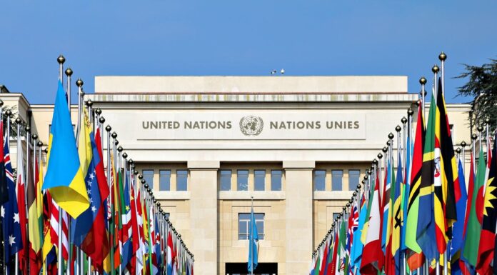 Watch: Uselessness Ranking Of Different UN Bodies