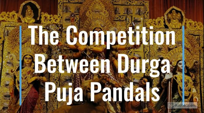 Watch: The Competition Between Durga Puja Pandals
