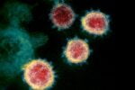 Microscopic image of the Omicron virus