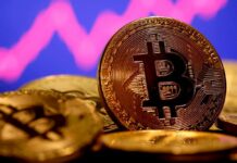 क्यों भारत की राज्य विनियमित क्रिप्टोकरेंसी विफल हो जाएगी