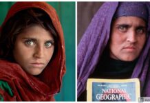 Fascinating Story Of The Afghan Green Eyed Girl As She Gets Provided With Shelter In Italy
