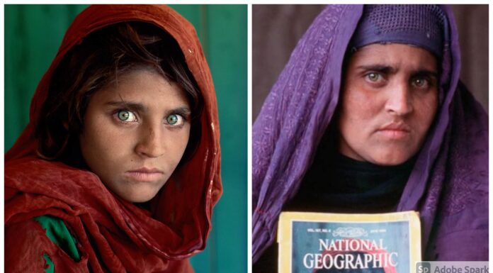 Fascinating Story Of The Afghan Green Eyed Girl As She Gets Provided With Shelter In Italy
