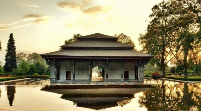 In Pics: Rare And Unusual Gardens In The World