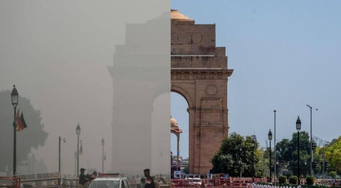 What Is ‘Parali’?: A Look At Delhi’s Biggest Contributor To Air Pollution