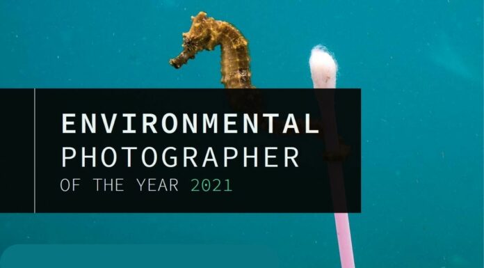 Stories Behind Some Of The Best Photos From “The Environmental Photographer Of The Year 2021”