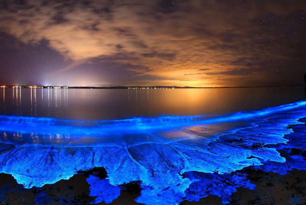 6 Places In India That Glow In The Dark