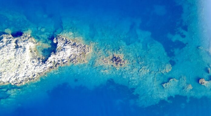 Earth’s First Land To Rise Above The Ocean Is In India, Here’s How The Discovery Was Made