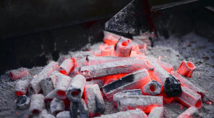 Despite Being The 2nd Largest Importer And Producer Of Coal, Why Is India On The Brink Of A Power Crisis?