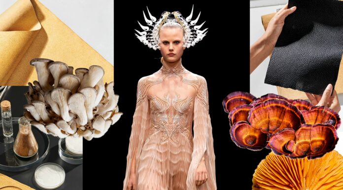 How Are Mushrooms The Future Of The Fashion Industry?
