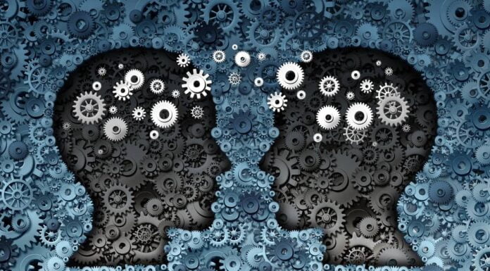 How Is Literature Equally Technical As Science?