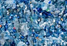 This Amazing Alternative Of Plastic Is The New Crop Of Future