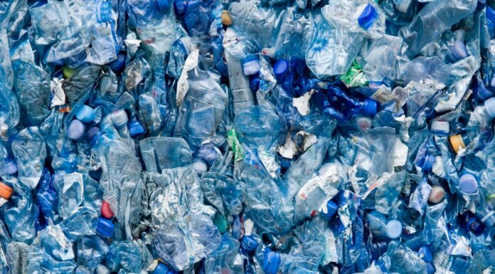 This Amazing Alternative Of Plastic Is The New Crop Of Future