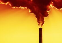 What Are The Chances That The Stock Market May Crash Due To Climate Change