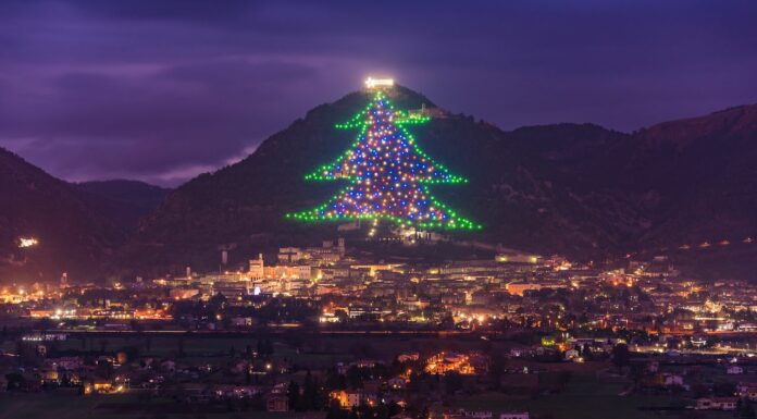 7 Unusual Christmas Trees That Actually Exist In The World