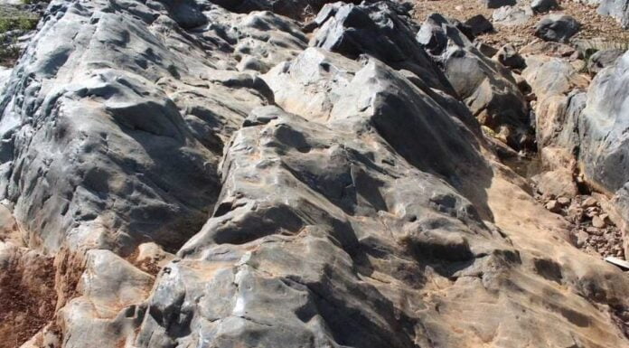 Scientists Claim The First Ever Beach On Earth Was In India