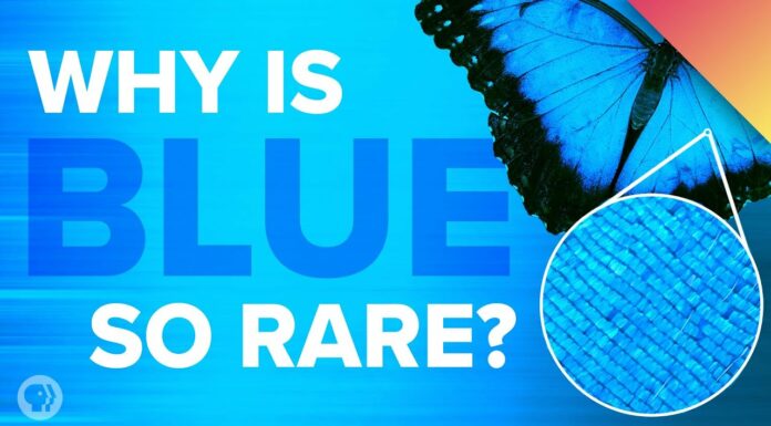 क्या नीले रंग को अलविदा कहने का समय आ गया है क्योंकि इसे बनाना मुश्किल हो रहा है? color blue