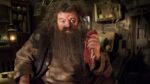 Does-Hagrid-die-in-Harry-Potter-and-the-Deathly-Hallows-03 (1)