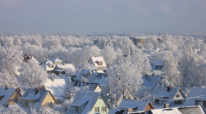 Watch: Why Are Cold Countries Richer?