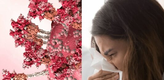 COVID new variant Florona