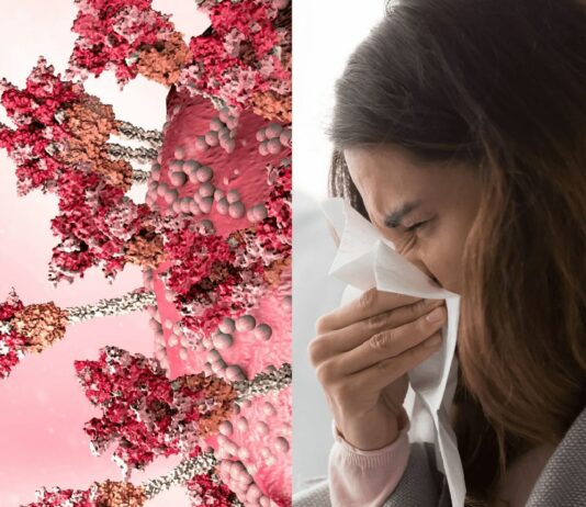 COVID + Influenza Makes Netizens Troll It Asking “What The F*** Is A Florona?” COVID new variant Florona
