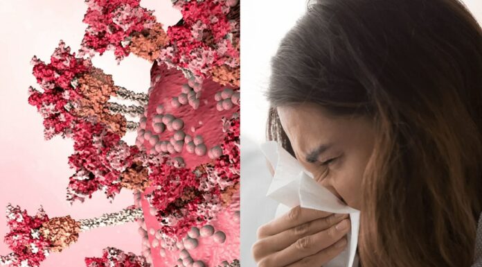 COVID + Influenza Makes Netizens Troll It Asking “What The F*** Is A Florona?” COVID new variant Florona