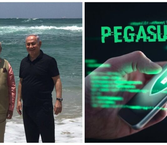pegasus