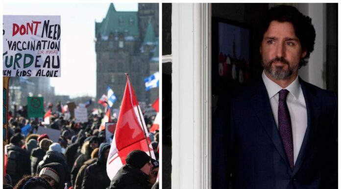 How Justin Trudeau’s Actions Concerning Truckers Will Affect Indians trudeau