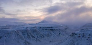 arctic vault