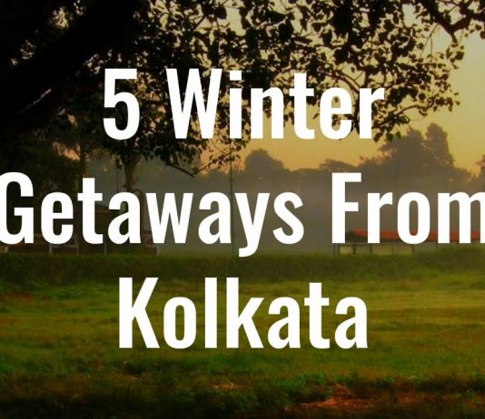 Watch: 5 Winter Getaways From Kolkata Winter Getaways