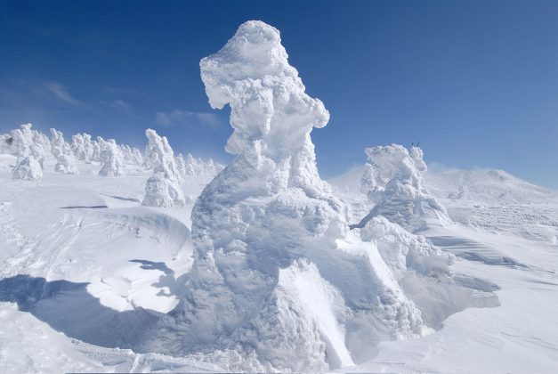 In Pics: What Are These Snow Monsters Or Juhyos Of Japan?