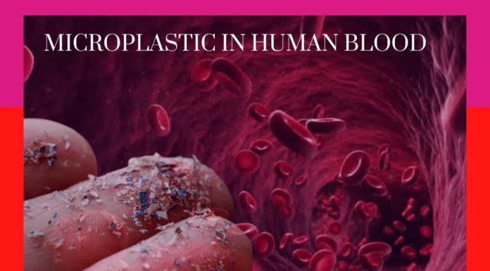 रोज़मर्रा के प्लास्टिक के ये सबसे आम रूप अब मानव रक्त में प्रवेश कर रहे हैं plastic