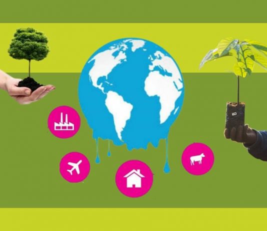 Five Ways You Can Actually Become An Agent For Change In Climate Crisis climate change