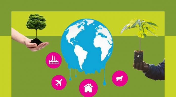Five Ways You Can Actually Become An Agent For Change In Climate Crisis climate change