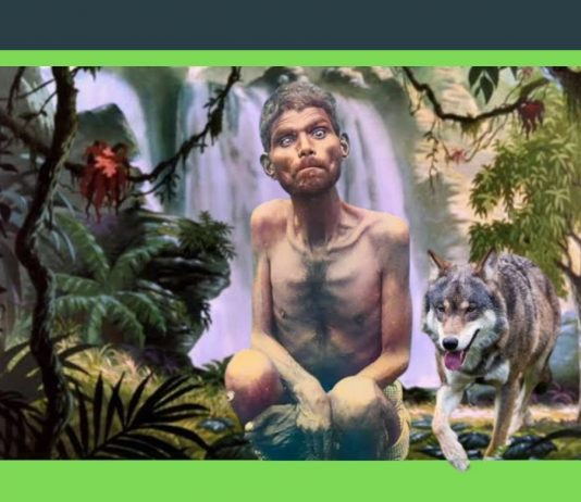 Meet India’s Real Life Mowgli – The Child Who Was Raised By Wolves mowgli