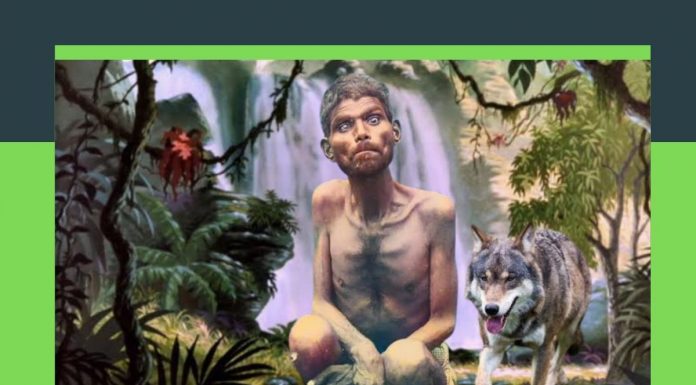 Meet India’s Real Life Mowgli – The Child Who Was Raised By Wolves mowgli