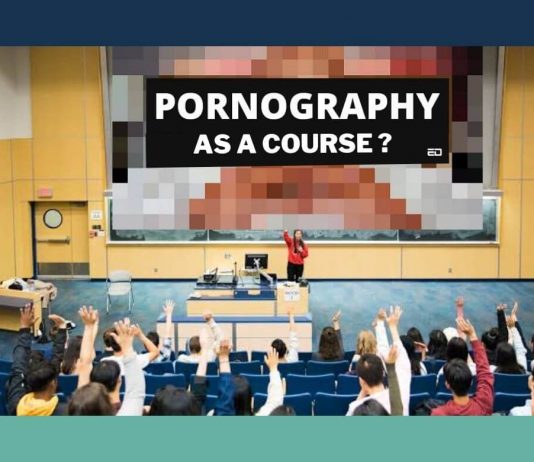 Film 300O: Porn Course