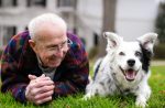 8 Times Animals Were So Smart That Even Humans Can Be Put To Shame